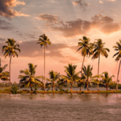 Amazing Trips - Top 10 Destinations to visit in India