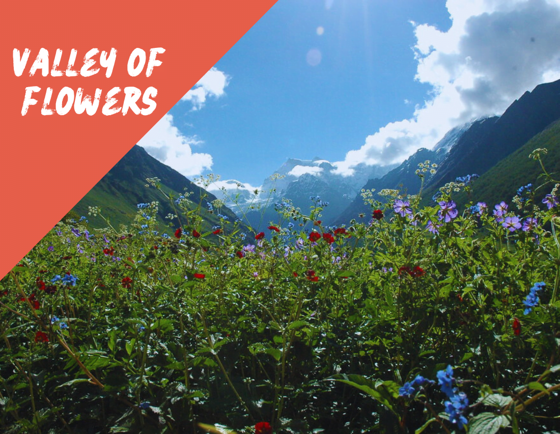 Offbeat Tours - Valley of Flowers
